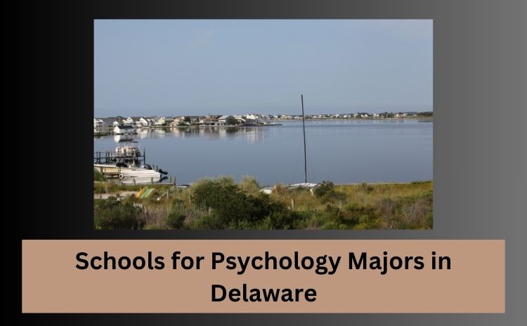 Schools for Psychology Majors in Delaware