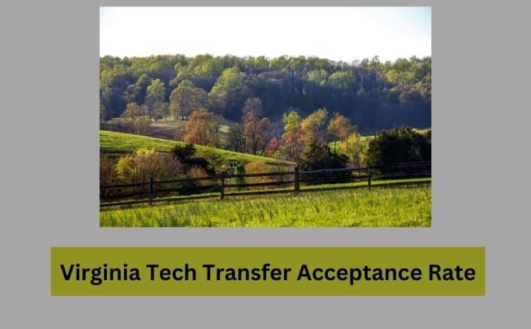Virginia Tech Transfer Acceptance Rate